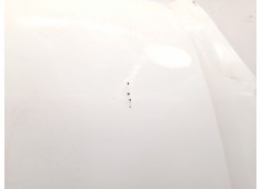 Recambio de capot para renault kangoo express (fc0/1_) 1.9 d (fc0j) referencia OEM IAM    2