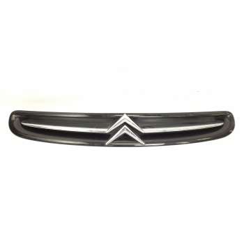 REJILLA DELANTERA 9632099177 2456S010