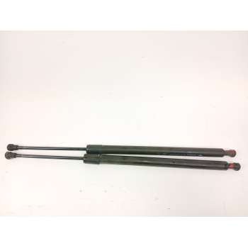 AMORTIGUADORES MALETERO / PORTON 8200219322 