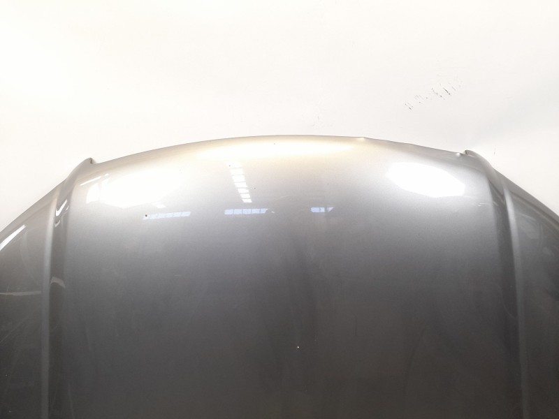 Recambio de capot para audi a8 (4e2) 4.0 tdi quattro referencia OEM IAM   