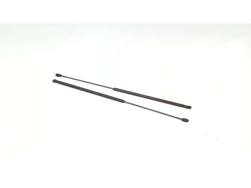 AMORTIGUADORES MALETERO / PORTON 904510002R 4091XGF30265N 