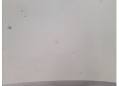 Recambio de capot para renault kangoo (f/kc0) authentique referencia OEM IAM    2