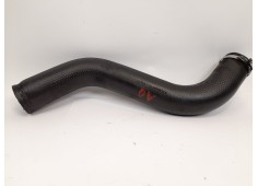 Recambio de tubo para chrysler voyager (rg) 2.5 crd cat referencia OEM IAM 95658A  