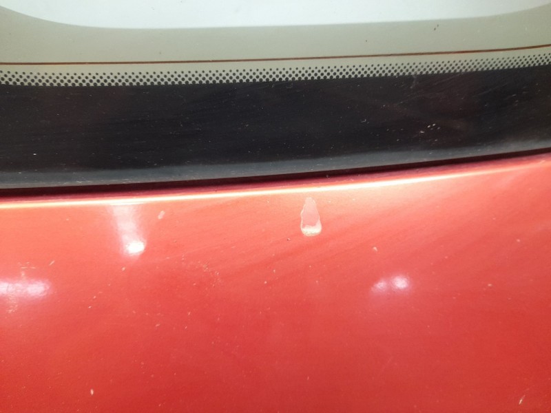 Recambio de porton trasero para renault scenic ii 1.9 dci diesel referencia OEM IAM   