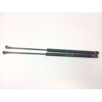 AMORTIGUADORES MALETERO / PORTON 1M6827550 
