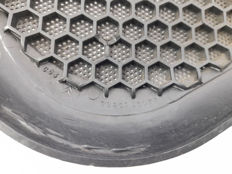 Recambio de moldura para citroen xsara(n1) 2.0 hdi referencia OEM IAM 9625925077  