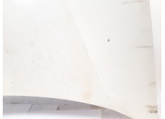 Recambio de capot para renault kangoo 1.2 i referencia OEM IAM    2