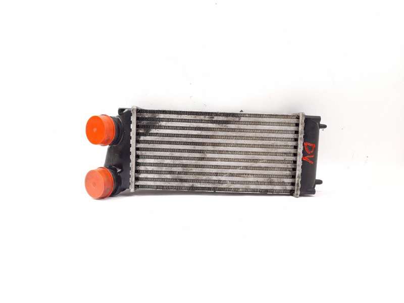 INTERCOOLER 9648551880 876923JF IA1401