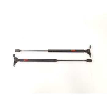 AMORTIGUADORES MALETERO / PORTON 6N0827550A 