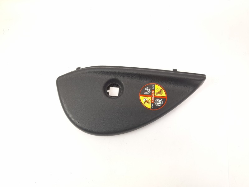 Recambio de moldura para renault laguna ii (bg0/1_) 2.0 dci (bg1t) referencia OEM IAM 8200243727  8200243726