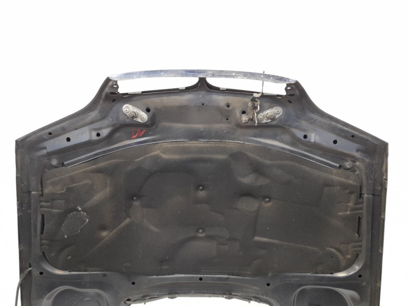 Recambio de capot para bmw serie 3 touring (e46) 320d referencia OEM IAM   