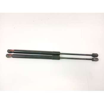 AMORTIGUADORES MALETERO / PORTON 904510001R 
