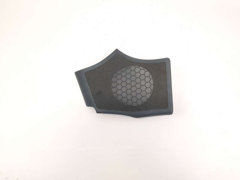 MOLDURA 8200045861 