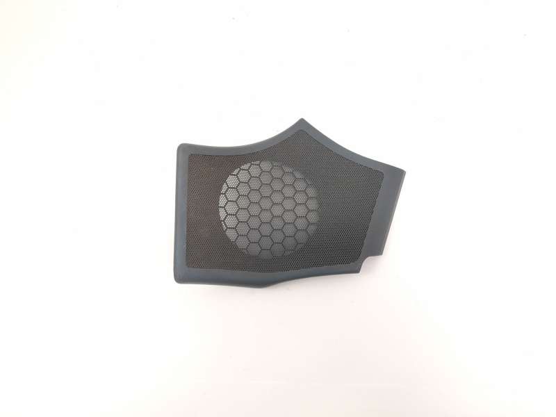 MOLDURA 8200045862 