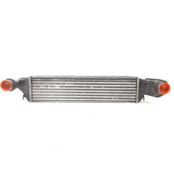 INTERCOOLER 17512246795 