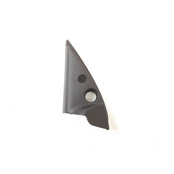 MOLDURA 9650062077 