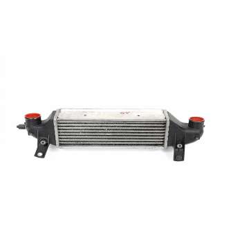 INTERCOOLER XS4Q9L440BD 
