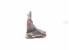 Recambio de soporte motor para seat inca (6k9) 1.9 d referencia OEM IAM 1H0199354A  