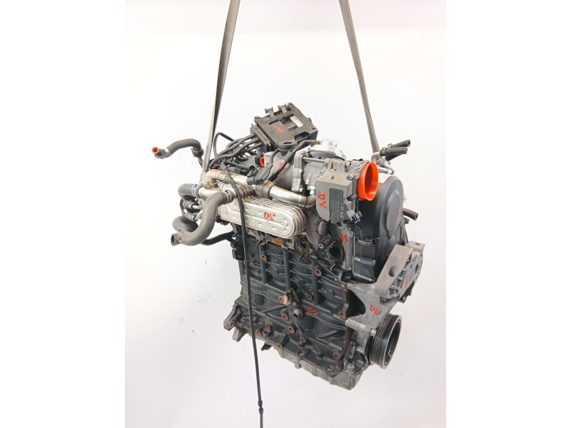 Recambio de despiece motor para volkswagen golf v (1k1) 1.9 tdi referencia OEM IAM BXE  
