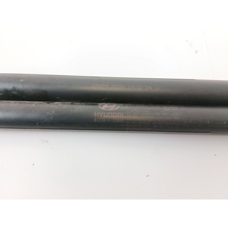 Recambio de amortiguadores maletero / porton para hyundai getz (tb) 1.1 básico referencia OEM IAM 817701C000  