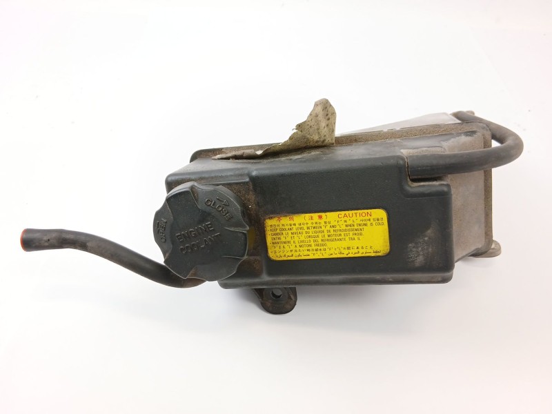 Recambio de deposito expansion para hyundai getz (tb) 1.1 básico referencia OEM IAM 254301C000  