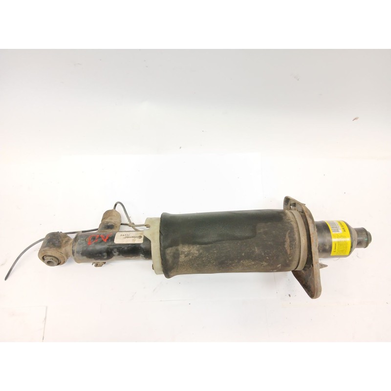 Recambio de amortiguador trasero izquierdo para audi allroad quattro (4b5) 2.5 tdi (132kw) referencia OEM IAM   