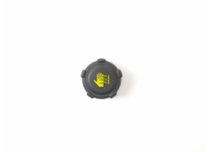 Recambio de varios para renault megane iii coupe dynamique referencia OEM IAM   