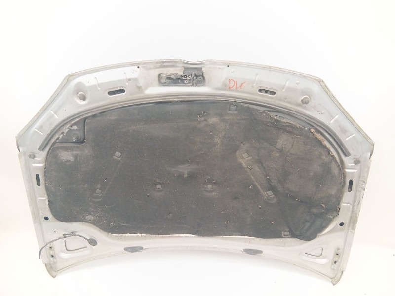 Recambio de capot para volkswagen golf v (1k1) 2.0 tdi 16v referencia OEM IAM   