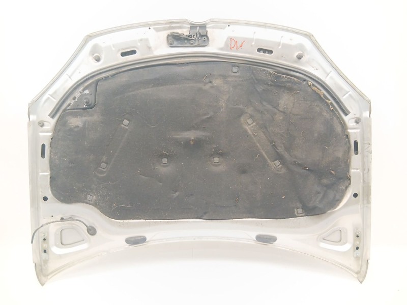 Recambio de capot para volkswagen golf v (1k1) 2.0 tdi 16v referencia OEM IAM   
