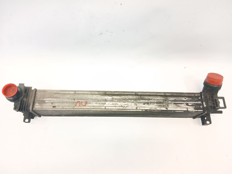 Recambio de intercooler para renault megane ii (bm0/1_, cm0/1_) 1.9 dci referencia OEM IAM   