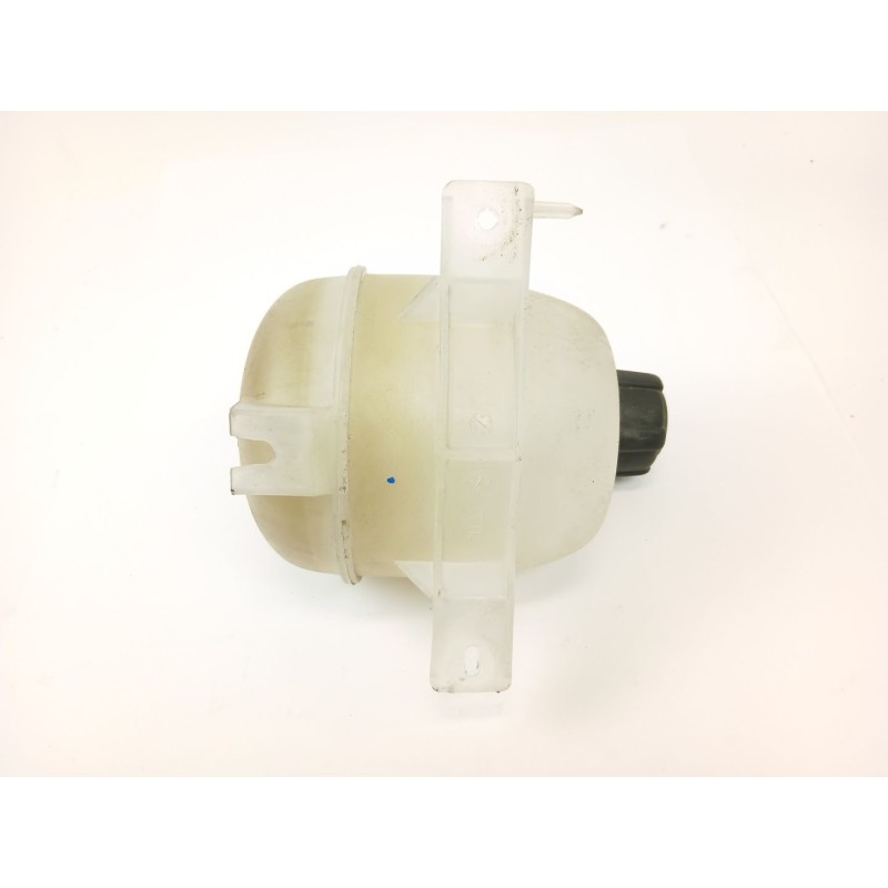 Recambio de deposito expansion para renault kangoo express (fc0/1_) 1.5 dci (fc07, fc1r) referencia OEM IAM 8200686355  