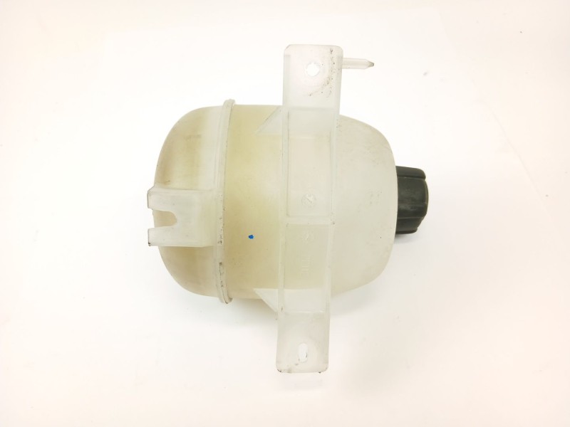 Recambio de deposito expansion para renault kangoo express (fc0/1_) 1.5 dci (fc07, fc1r) referencia OEM IAM 8200686355  