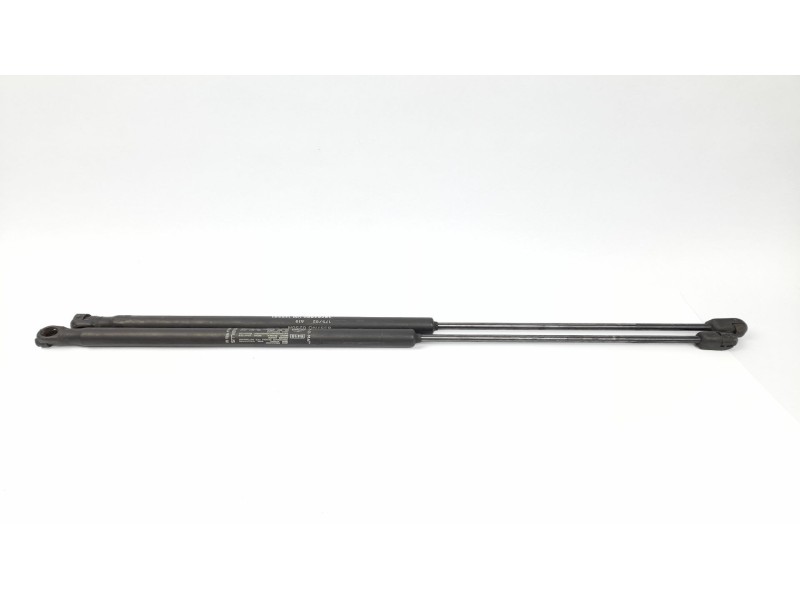 Recambio de amortiguadores capo para fiat stilo (192) 1.6 16v dynamic referencia OEM IAM 46784590  