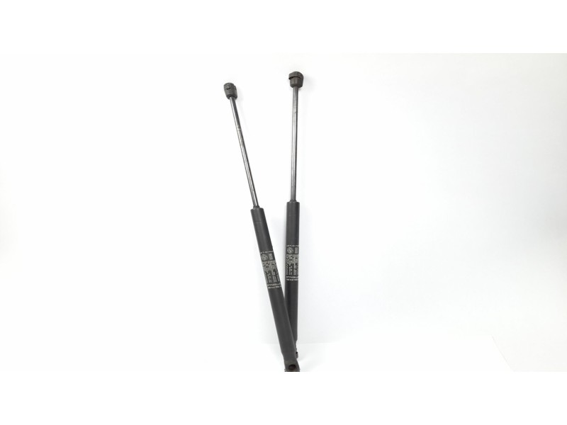 Recambio de amortiguadores capo para fiat stilo (192) 1.6 16v dynamic referencia OEM IAM 46784590  