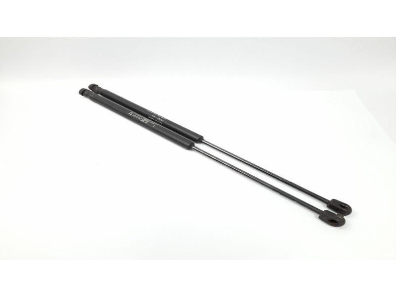Recambio de amortiguadores capo para fiat stilo (192) 1.6 16v dynamic referencia OEM IAM 46784590  