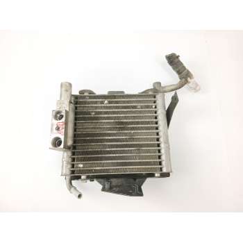 RADIADOR AGUA 4Z7203503 