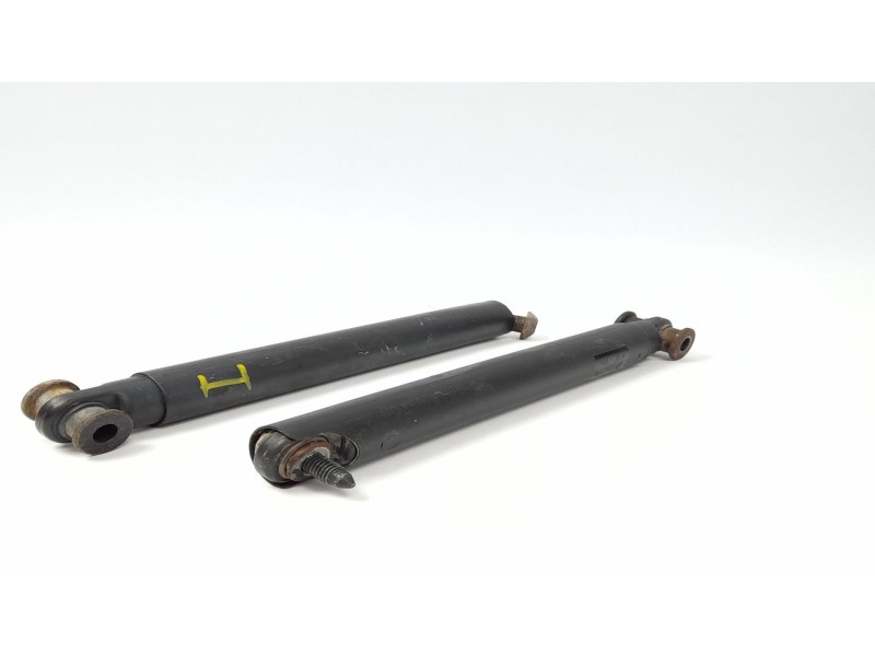 Recambio de amortiguadores maletero / porton para bmw x5 (e53) 3.0i referencia OEM IAM 8402195  