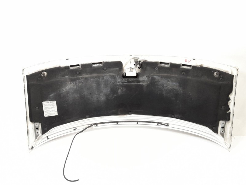 Recambio de capot para peugeot expert furgón (222) 2.0 hdi referencia OEM IAM   