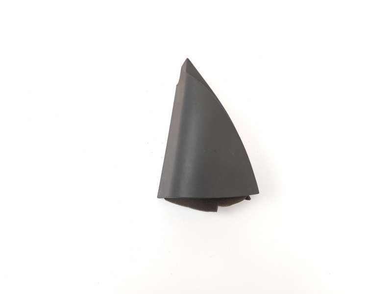 MOLDURA 8200079928 