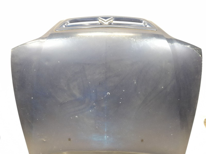 Recambio de capot para citroen xsara (n1) 1.9 d referencia OEM IAM   