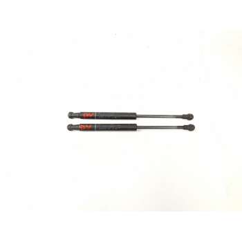 AMORTIGUADORES MALETERO / PORTON 60680087 