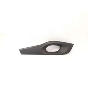 MOLDURA 809600891R 