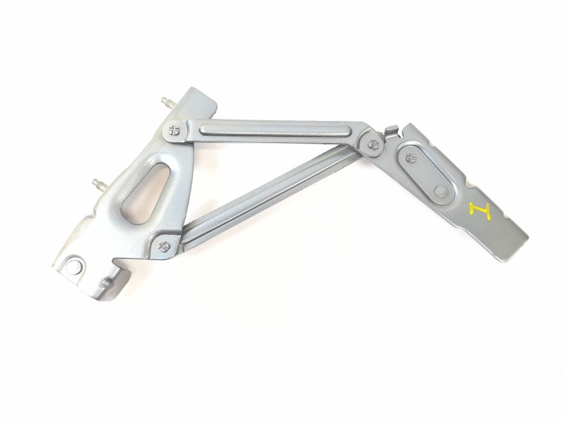 Recambio de bisagra para peugeot 407 (6d_) 2.0 hdi 135 (6drhrh, 6drhre, 6drhrg, 6drhrj) referencia OEM IAM   