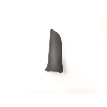 MOLDURA 802930256R 