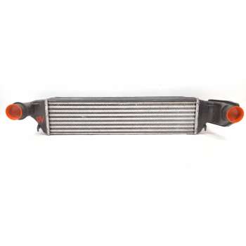 INTERCOOLER 17512246795 