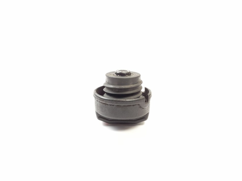 Recambio de tapon combustible para volkswagen golf ii (19e, 1g1) 1.6 td referencia OEM IAM 191701553  