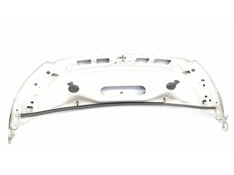 Recambio de capot para peugeot expert furgón (229) 2.0 hdi referencia OEM IAM 7901N1  