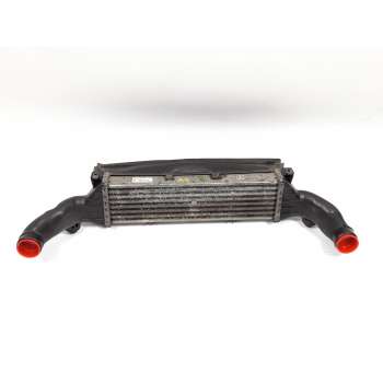 INTERCOOLER A2025001100 