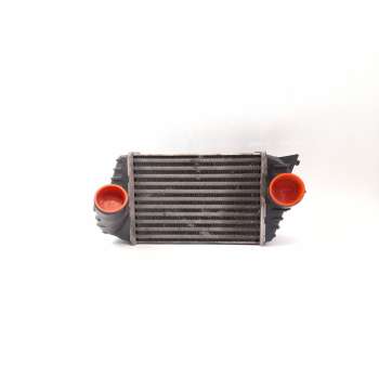 INTERCOOLER 838065000 