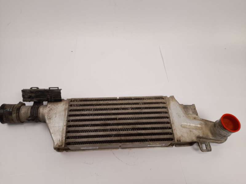 INTERCOOLER 24427069 